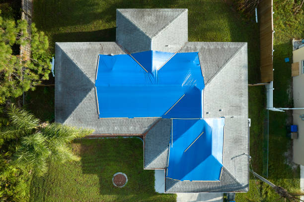 Best Roof Moss and Algae Removal  in Priceville, AL