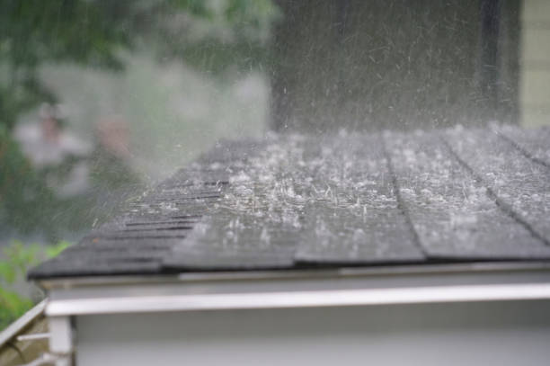 Best Chimney Flashing Repair  in Priceville, AL
