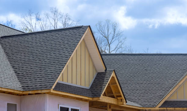 Best Roof Moss and Algae Removal  in Priceville, AL