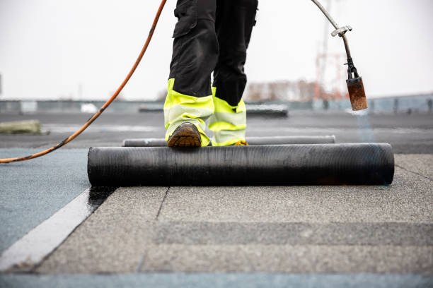 Best Steel Roofing  in Priceville, AL